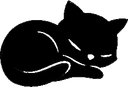 Rexy's Sleeping Cat